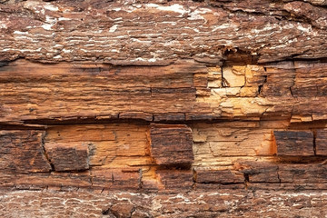Texture of old rotten wood as background.