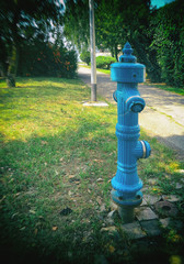 Hydrant in the park.