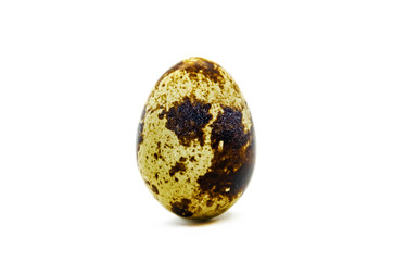 One quail egg in a brown speck
