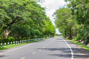 Obraz premium Curve road with pole barrier and Trees on both sides