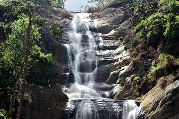 Fototapeta na wymiar Silver Cascade falls at Kodaikanal