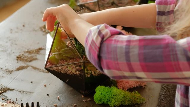 DIY florarium. Hobby and leisure. Natural handmade gift idea. Girl using moss to decorate succulent arrangement in glass vase.