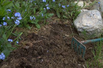 jardinage ,rateau et terre au printemps