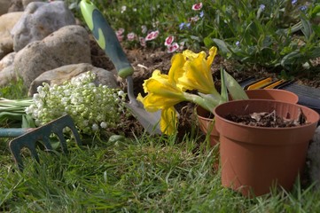 jardinage ,bouquet floral ,plantation de printemps