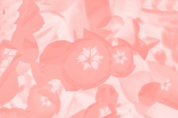 Color coral background with floral pattern. Abstract background