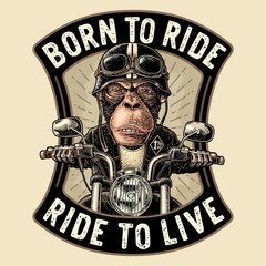 Monkey driving a motorcycle rides. Vector vintage engraving © MoreVector