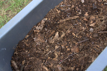 Fototapeta premium bac de compost de feuilles et de branchages 