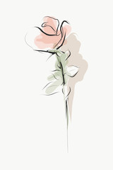 Painted rose. Sketch, vector
