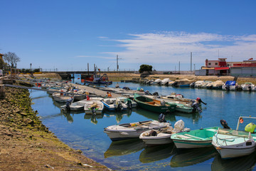 the city of Faro