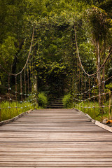 Fototapeta premium Bridge sling wooden floor, the bridge using a sling attached to the pole both sides and Use lath do the floor walkway is located In the midst of nature.