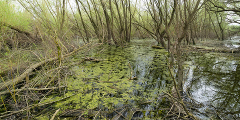 Landschaftsschutzgebiet Untereisesheim
