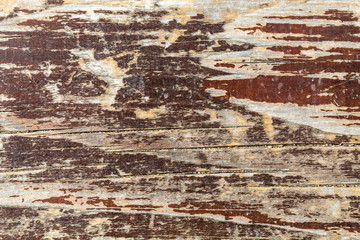 Old Wood Texture
