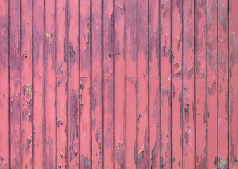 Fototapeta na wymiar Pink Painted Old Wooden Fence