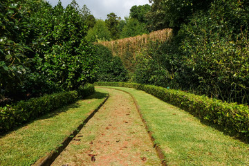 Fototapeta na wymiar Path Way on Garden Parque Terra Nostra, Furnas, Sao Miguel Island, Azores, Portugal