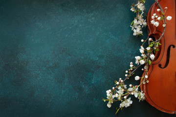 Close up of Branch of blossoming cherry and violin on blue background