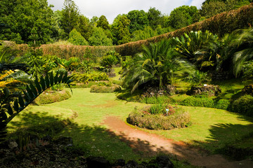 Landscape view, Terra Nostra Garden, Sao Miguel Island, Azores, Portuga