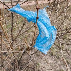 Ecological concept with blue plastic bag on the bush