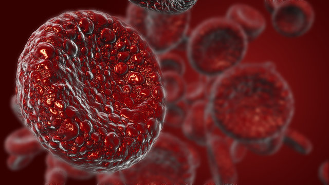 Red blood cells Use as a medical illustration is a 3d image and the word is written.