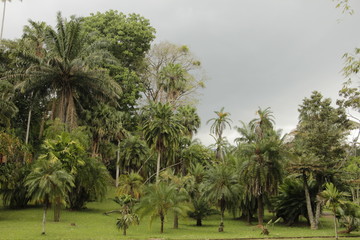 jardín botánico