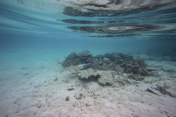 Beautiful abstract background / texture of underwater view of white sand bottom and blue water. Snorkeling, Maldives, Indian Ocean.	