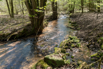 Pfalz/ Dahn / Wandern /Pfälzerwald / Deutschland