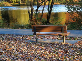 Park Bench in Fall - Seat by a pond in autumn with fallen leaves.