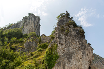 High Cliffs with trees in summit on sunny day