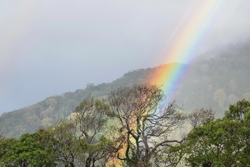 Rainbow in the clouds, Boquete, Panama