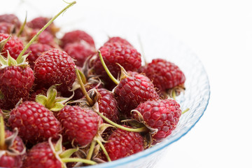 fresh raspberries in the bowl