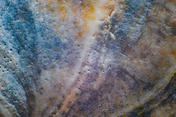 grunge background