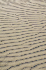 sand background