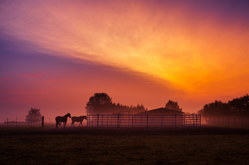 on the farm