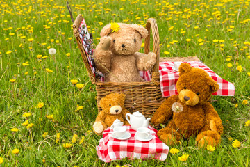 Teddy Bear's Picnic in summer with bright yellow dandelions in lush green meadow.  Concept: happy...