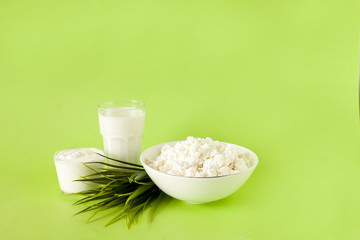 milk in a glass sour cream cottage cheese on a green background with grass