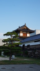 Tokyo City Architecture, Japan