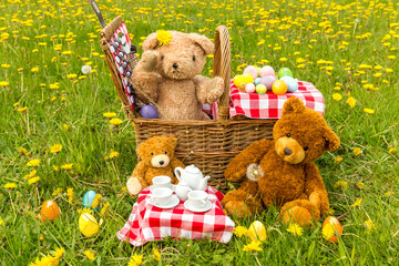 Teddy Bear's Picnic in summer with bright yellow dandelions in lush green meadow.  Concept: happy childhood memories