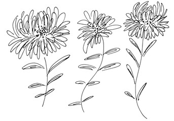Hand Drawn  Illustrations Of Abstract Set of Flowers Isolated on White. Hand Drawn Sketch of a Flowers