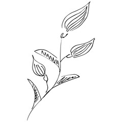 Hand Drawn  Illustration Of Abstract Flower Isolated on White. Hand Drawn Sketch of a Flower