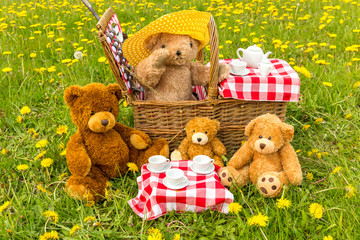 Teddy Bear's Picnic in summer with bright yellow dandelions in lush green meadow.  Concept: happy...