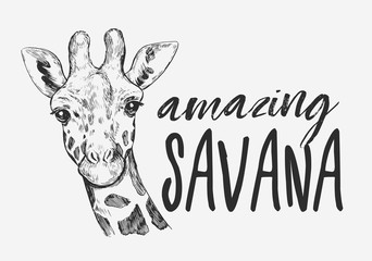 Giraffe sketch. Hand drawn illustration converted to vector