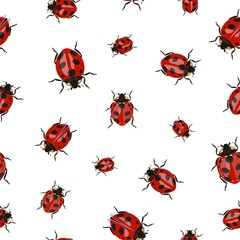 Seamless pattern with different size ladybirds. Beetles Vector illustration.