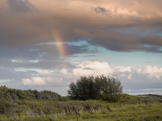 landscape with rainbow and sky