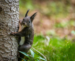 Ein neugieriger Blick
