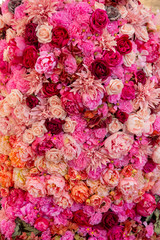 bouquet of roses in the colors pink lilac and pink format-filling