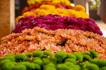 beautifully arranged flowers in green orange lila and yellow
