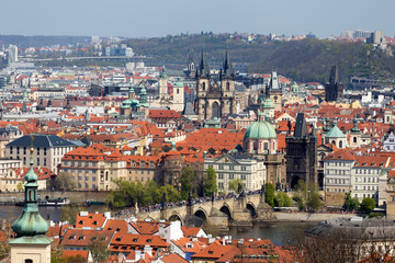 Obraz premium Spring Prague City with Charles Bridge and green Nature with flowering Trees, Czech Republic