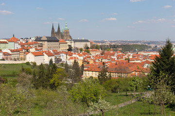 Spring Prague City with gothic Castle and the green Nature and flowering Trees, Czech Republic