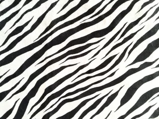 Fotobehang zebra skin texture © Noval
