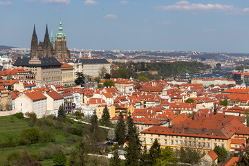 Fototapeta premium Spring Prague City with gothic Castle and the green Nature and flowering Trees, Czech Republic