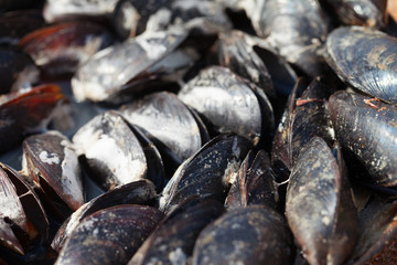 Freshly cooked mussels in outdoor summer cafe by sea